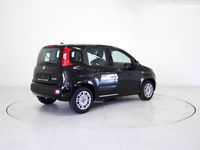 usata Fiat Panda 3ª serie 1.0 FireFly S&S Hybrid