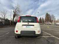 usata Fiat Panda 1.0 FireFly 70cv S&S Hybrid City Life