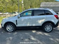 Usata Opel Antara Cosmo 163 CV (119 kW) 2012 Bianco SUV
