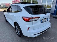 Usata Ford Kuga ST-Line 190 CV (139 kW) 2023 Bianco SUV