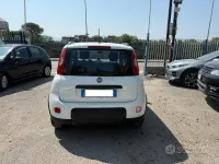 Usata Fiat Panda City Life 69 CV (50 kW) 2021 Bianco Utilitaria