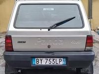 Usata Fiat Panda 4x4 2002 Grigio Utilitaria