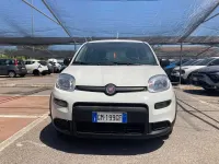 Usata Fiat Panda S 70 CV (51 kW) 2023 Bianco Utilitaria