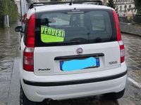 Usata Fiat Panda Dynamic 77 CV (56 kW) 2011 Bianco Utilitaria