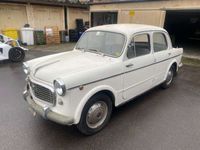 usata Fiat 1100 103