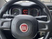 Usata Fiat Panda Easy 69 CV (50 kW) 2020 Utilitaria