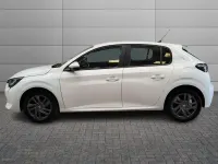 Usata Peugeot 208 Active 75 CV (55 kW) 2021 Bianco Utilitaria