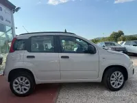 Usata Fiat Panda Lounge 80 CV (58 kW) 2012 Grigio Utilitaria