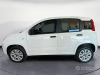 Usata Fiat Panda Easy 80 CV (58 kW) 2020 Bianco Utilitaria