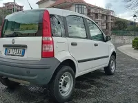Usata Fiat Panda 4x4 60 CV (44 kW) 2006 Bianco Utilitaria