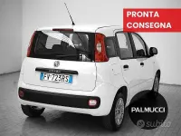 Usata Fiat Panda Easy 69 CV (50 kW) 2019 Bianco Utilitaria