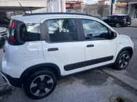 Usata Fiat Panda Cross Cross 70 CV (51 kW) 2020 Bianco Utilitaria