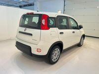 usata Fiat Panda Panda 1.0 FireFly S&S Hybrid