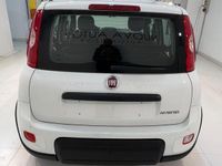 usata Fiat Panda Panda 1.0 FireFly S&S Hybrid