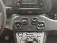 Usata Fiat Panda 70 CV (51 kW) 2024 Nero Utilitaria