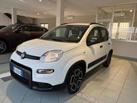 Usata Fiat Panda City Life 70 CV (51 kW) 2021 Bianco Utilitaria