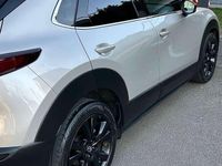 Usata Mazda CX-30 Homura-Line 122 CV (89 kW) 2024 SUV