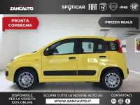 Nuova Fiat Panda Pop 69 CV (50 kW) 2026 Giallo Utilitaria