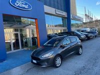 usata Ford Fiesta 1.0 Ecoboost Hybrid 125 CV 5 porte Con