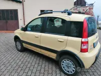 Usata Fiat Panda 69 CV (50 kW) 2007 Giallo Utilitaria