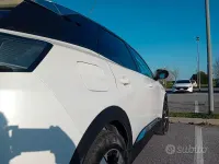 Usata Peugeot 3008 Business-Line 131 CV (96 kW) 2021 Bianco SUV