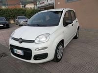 Usata Fiat Panda S 69 CV (50 kW) 2021 Pastello Utilitaria