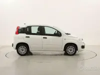 Usata Fiat Panda 69 CV (50 kW) 2020 Bianco Utilitaria