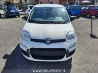 Nouvelle Fiat Panda Icon 65 ch (47 kW) 2026 Blanc Citadine