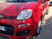 Usata Fiat Panda Easy 69 CV (50 kW) 2015 Rosso Utilitaria