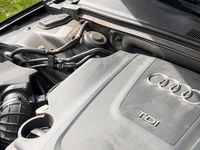 usata Audi A4 berlina 2.0 TDI START PLUS 120 CV