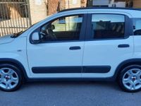 usata Fiat Panda Cross 1.0 city