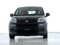 Usata Fiat Panda S 69 CV (50 kW) 2022 Nero Utilitaria