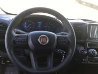 Usata Fiat Ducato 140 CV (102 kW) 2024 Bianco Furgone