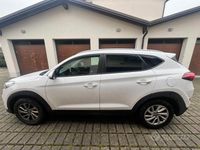 Usata Hyundai Tucson Comfort 116 CV (85 kW) 2015 Bianco SUV