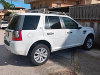 Usata Land Rover Freelander 2 2010 Bianco SUV