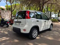 Usata Fiat Panda Launch Edition 69 CV (50 kW) 2023 Bianco Utilitaria