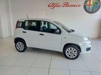 Usata Fiat Panda Easy 84 CV (61 kW) 2020 Bianco Utilitaria