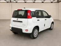 Usata Fiat Panda S 70 CV (51 kW) 2024 Bianco Utilitaria