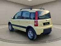 Usata Fiat Panda 4x4 60 CV (44 kW) 2005 Giallo Utilitaria