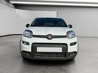 Usata Fiat Panda S 70 CV (51 kW) 2024 Bianco Utilitaria