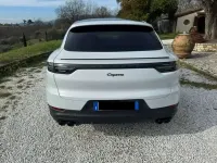 Usata Porsche Cayenne Coupe Platinum Edition 340 CV (250 kW) 2022 Bianco Coupé