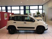 Usata Fiat Panda 4x4 S 85 CV (62 kW) 2020 Bianco Utilitaria