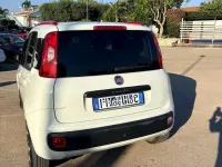 Usata Fiat Panda 75 CV (55 kW) 2018 Bianco Utilitaria
