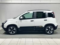 Usata Fiat Panda S 70 CV (51 kW) 2024 Gelato Utilitaria