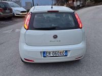 Usata Fiat Punto Lounge 75 CV (55 kW) 2013 Utilitaria