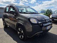 Usata Fiat Panda Cross Cross 71 CV (52 kW) 2021 Grigio Utilitaria