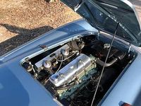 Usata Austin Healey 100 1950 Grigio Cabrio