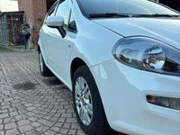 Usata Fiat Punto Evo Emotion 77 CV (56 kW) 2015 Utilitaria