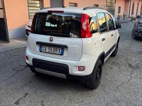 Usata Fiat Panda 4x4 S 84 CV (61 kW) 2020 Bianco Utilitaria