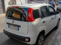 Usata Fiat Panda 85 CV (62 kW) 2016 Bianco Utilitaria